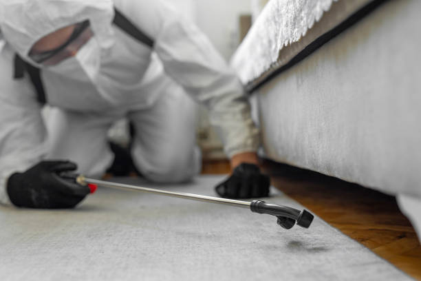 Professional Bed Bug Control technician working in Erie, KS