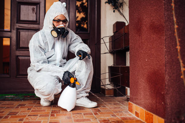 Reliable Bed Bug Control contractor in Erie, KS by Nex Pest Control
