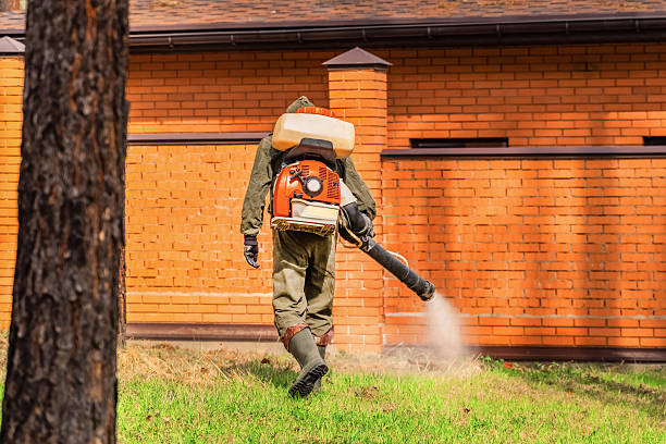 Trusted Mosquito Control service in Erie, KS - Nex Pest Control